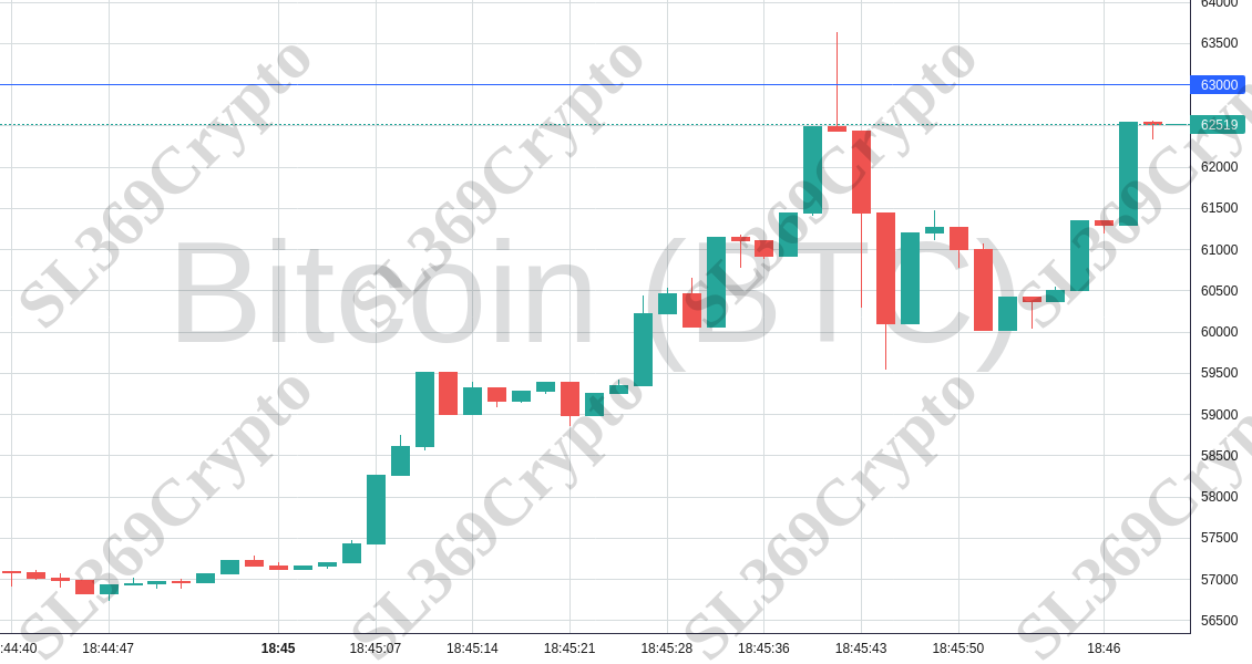 Accurate predictions Bitcoin (BTC), Opulous (OPUL), Dogecoin (DOGE