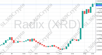 Accurate prediction 2051 - Radix (XRD) hit $0.08