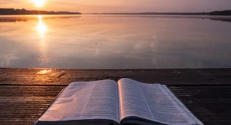 Vision log 1333 - The seeds have been planted a long time ago - Guides, new gifts, Christian, Bible study PART 2