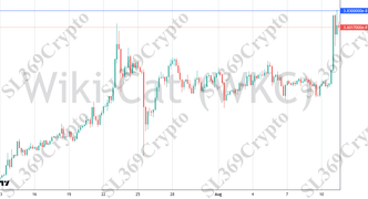 Accurate prediction 2763 - Wiki Cat (WKC) hit $0.0000000383