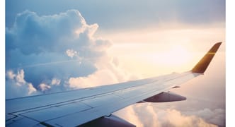 Vision log 1476- Nov 19 to Nov 21